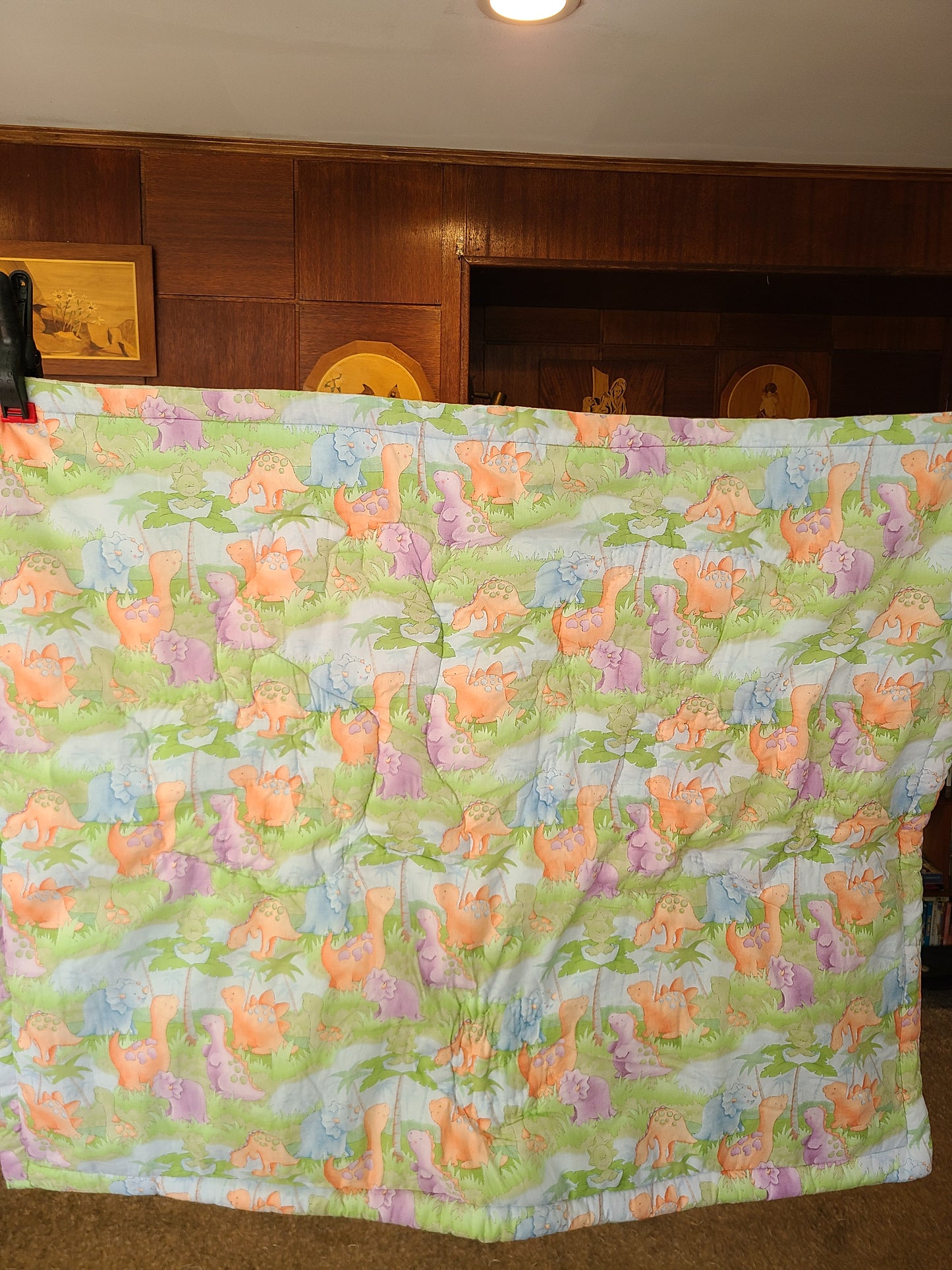 Dinosaur Baby Quilt 29.5" x 37.5"