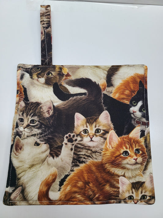 Pot Holder Cats