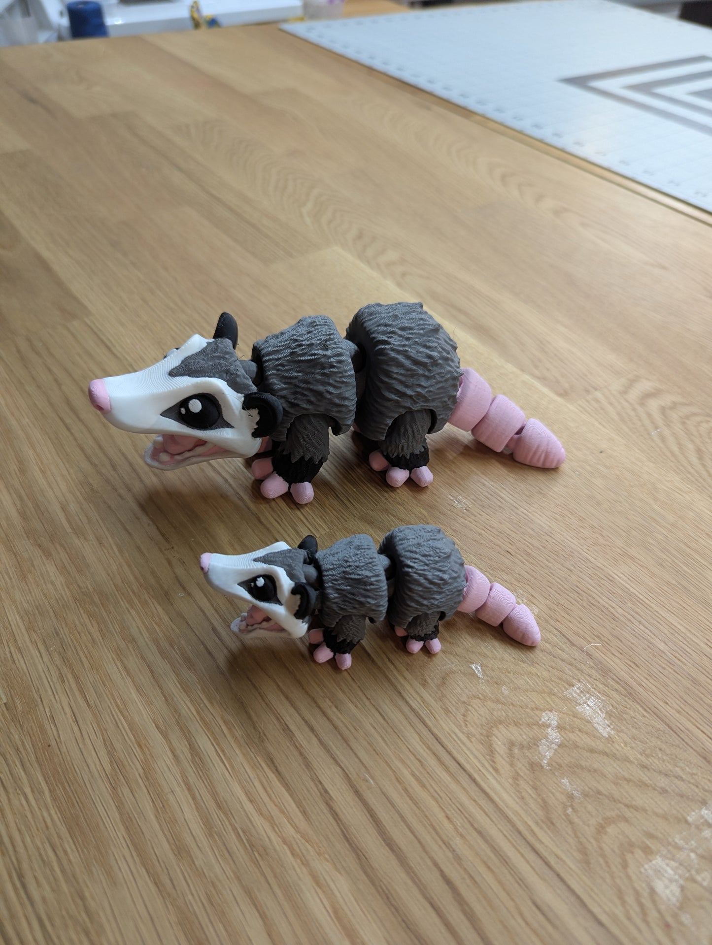 3D Possum