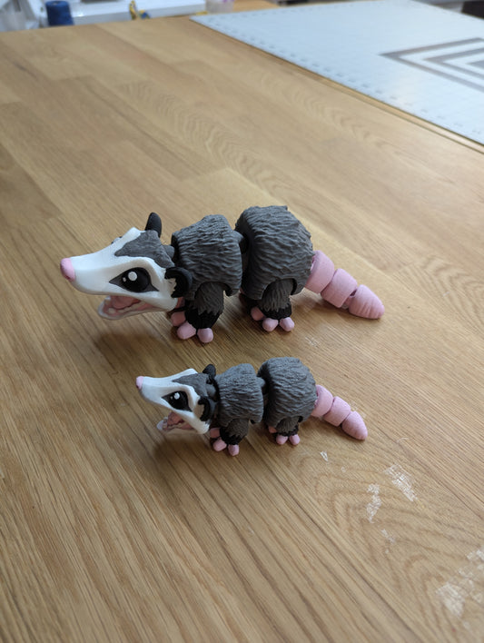 3D Possum