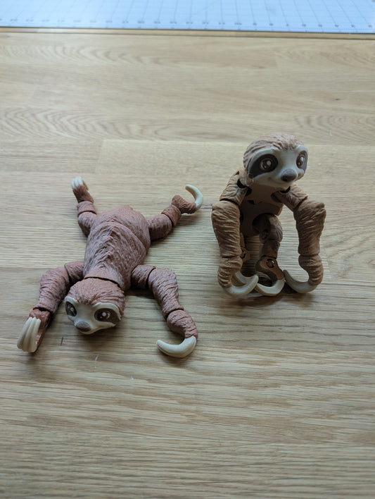 3D Sloths